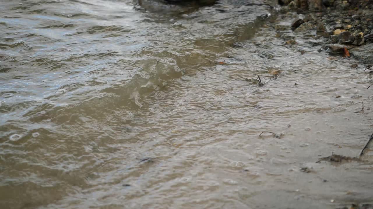 Waves lapping at the shore