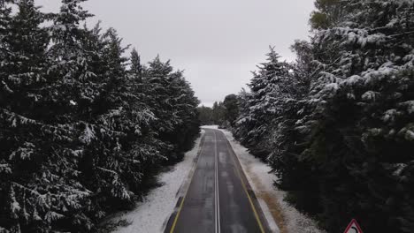 Vista-Aérea-Baja-De-Drones-Siguiendo-Una-Carretera-De-Dos-Carriles-A-Través-De-árboles-Cubiertos-De-Nieve,-Israel