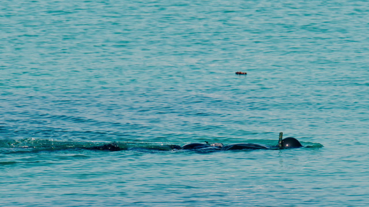 View of a man snorkeling in clear, calm, turquoise-blue water