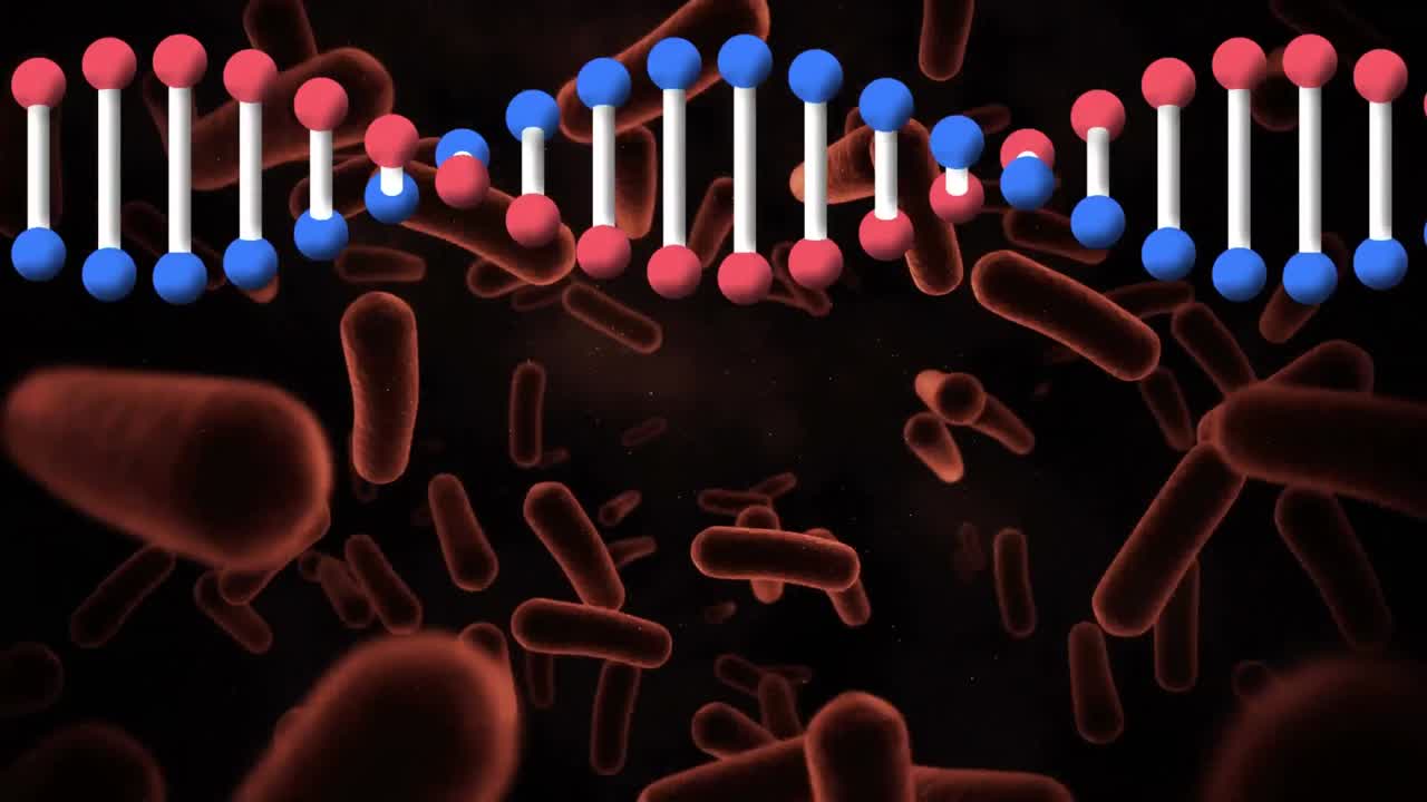Animazione di un filamento di DNA che ruota sopra i globuli rossi