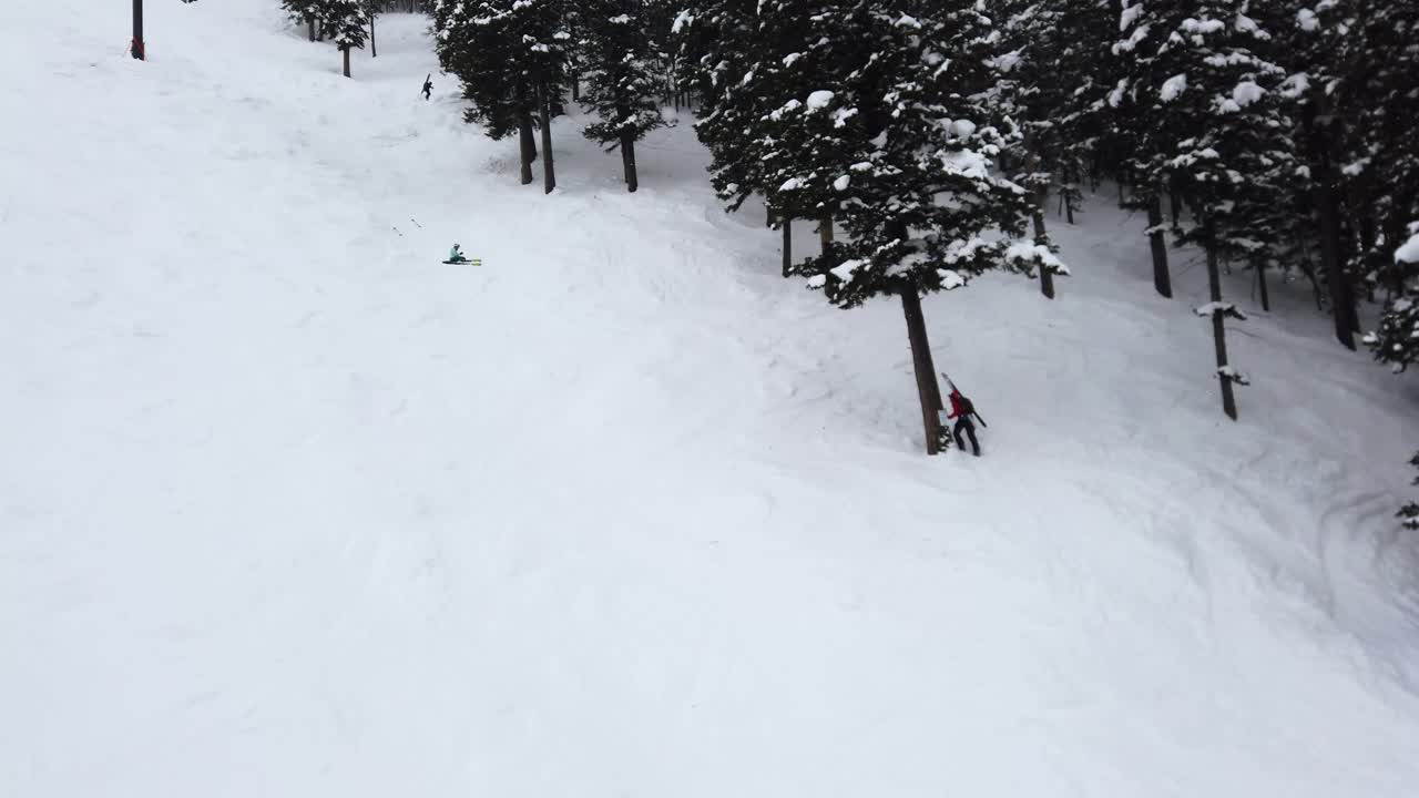 Skiier hikes up to the top of a snowy mountain covered in trees.