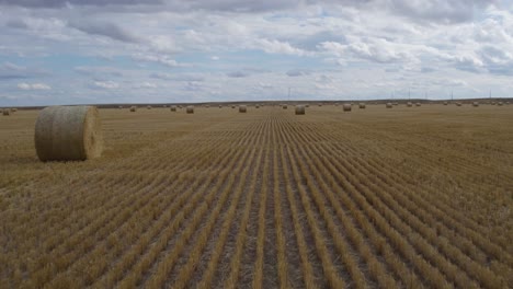 farmland agricultural rows of harvested hay bales in big sky, montana - aerial