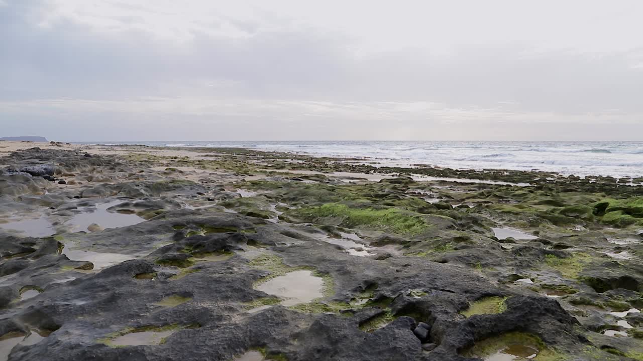 escena cinematográfica tranquila del océano con olas enrolladas en el fondo y rocas de musgo charcos de agua y guijarros en primer plano en porto santo - portugal 50 fps toma estática