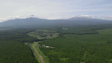 bosque denso follaje en el campo con el monte kilimanjaro en el fondo en el parque nacional de amboseli, kenia, áfrica