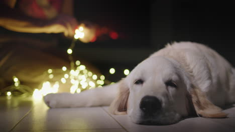 A-woman-is-unraveling-a-festive-garland,-and-a-dog-is-breathing-near-her.-In-the-background-there-is-a-fire-burning-in-the-fireplace.-Christmas-Eve