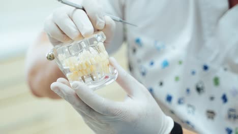 the layout of the jaw and implants in the hands of the dentist. hands in white rubber gloves