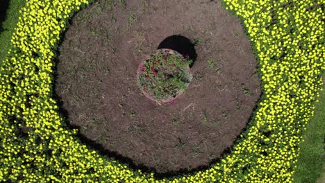 Drone-Pivoting-Upwards-Shot-of-Beautiful-Grass-and-Flower-Garden-in-the-Shape-and-Colors-of-the-Brazilian-Flag