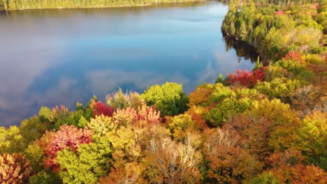 lake and spruce and maple tree forest in autumn fall rural montreal, quebec, canada