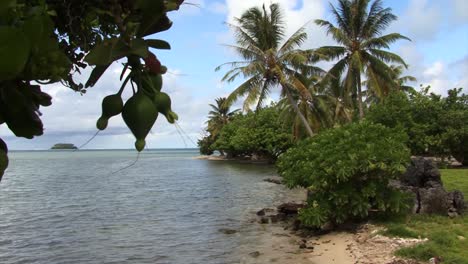 beautiful landscape in raiatea, french polynesia