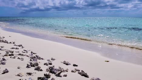 dead white coral on white sand beach, waves break on shore beach caribbean sea