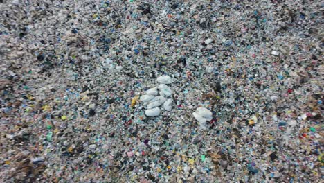 a comprehensive look at a household waste dump reveals mountains of garbage piled high, showcasing the stark reality of waste accumulation