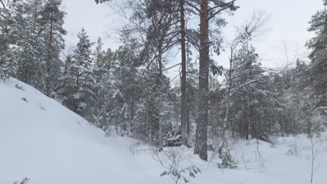 Fogata-En-Un-Gélido-Bosque-Cubierto-De-Nieve-Durante-El-Invierno