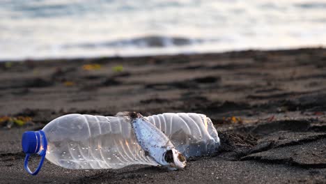 A-dead-fish-sits-beside-a-discarded-plastic-water-bottle-on-a-sandy-beach,-on-a-bright-evening