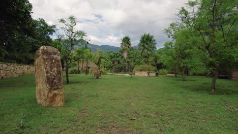 fast fly-over tropical garden in oaxaca, mexico with mountains backdrop