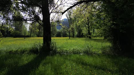 Tiro-Deslizante-De-Un-Prado-Verde-Mágico-En-La-Montaña-Weesen,-St