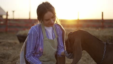 young blonde woman strokes and feed from hands cute goat on local farm