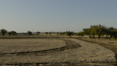 agricultural landscape in puglia italy