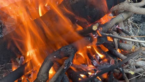 a fire pit with a raging log fire