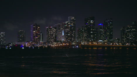 miami's skyline view at night