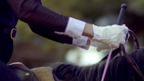 riding-horse-close-up-shot,-closeup-hands,-holding-reins,-female-jockey,-leather-reins,-horse-riding-gloves,-riding-whip,-riding-crop,-woman,-rides-horse,-gallop,-cinematic,-slow-motion,-slomo