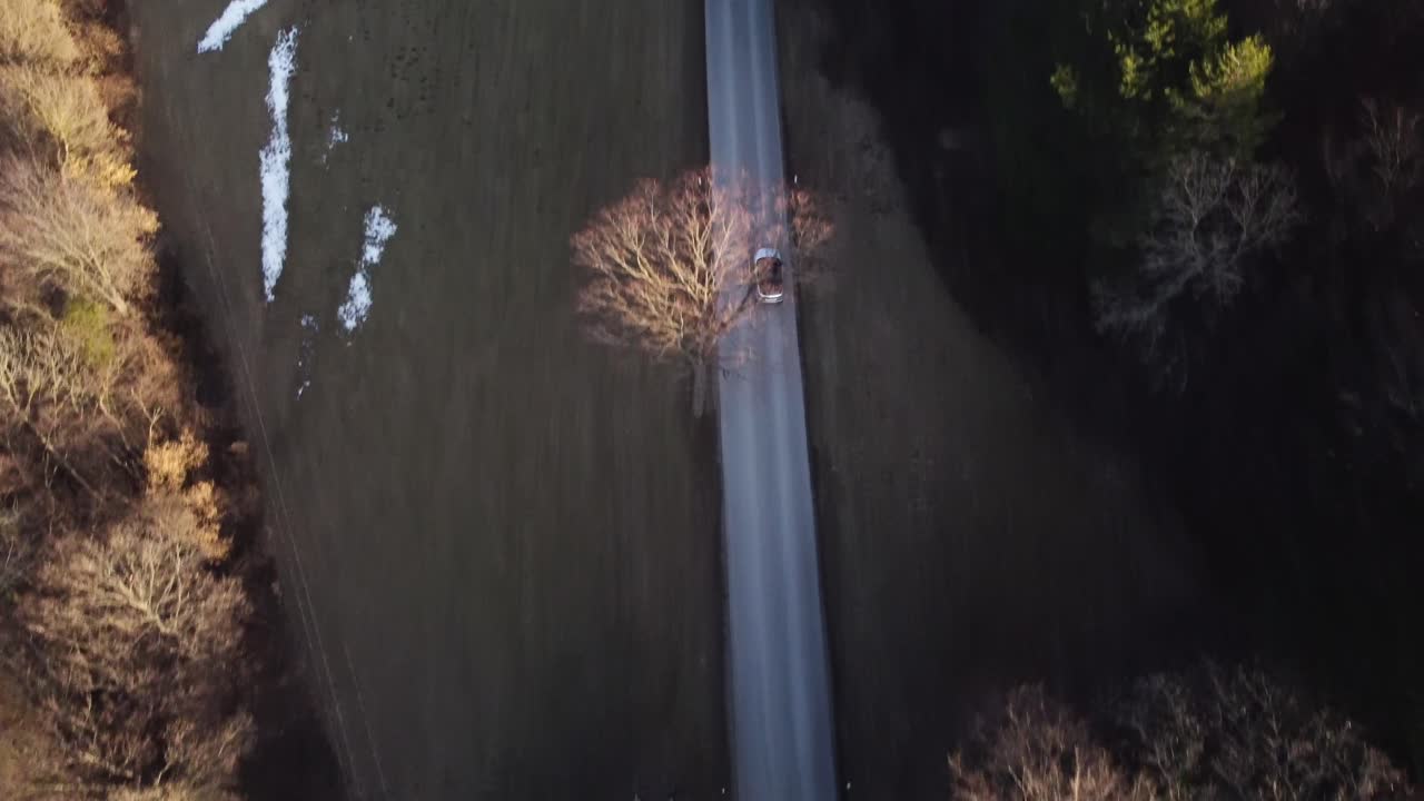 숲길에서 빠른 자동차의 하향식 드론 샷