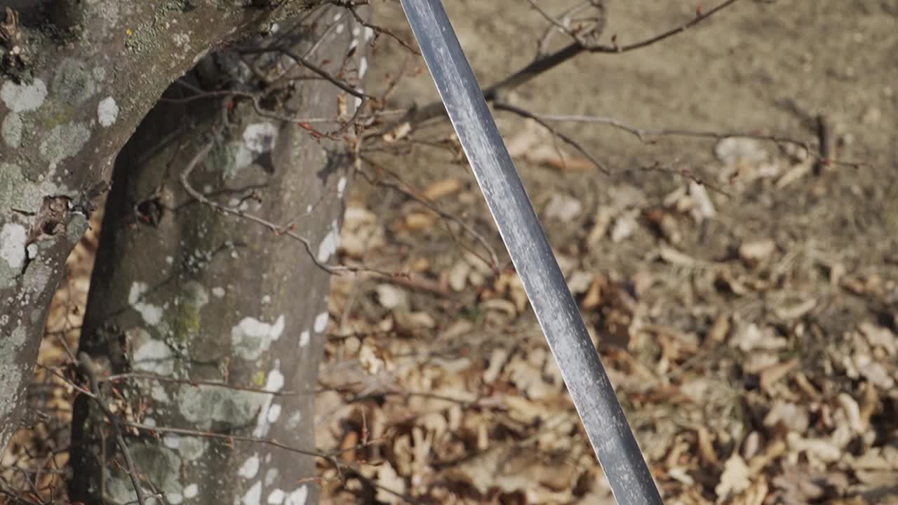 A striking stock image featuring a katana blade slicing through a weathered tree branch, merging traditional craftsmanship with organic textures. Ideal for martial arts and creative storytelling.