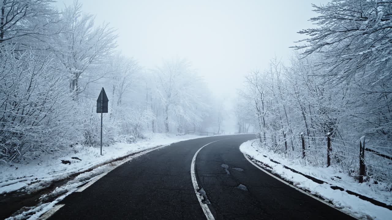 눈으로 인 도로가 겨울 풍경의 조용한 숲을 가로질러 부드럽게 곡선