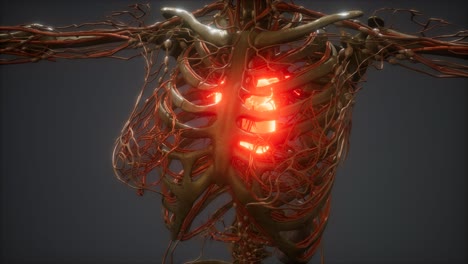 cg animation of a sick human heart