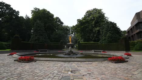 peaceful fountain water jet in the middle covered by water lily blossom and surrounded by the tall tree