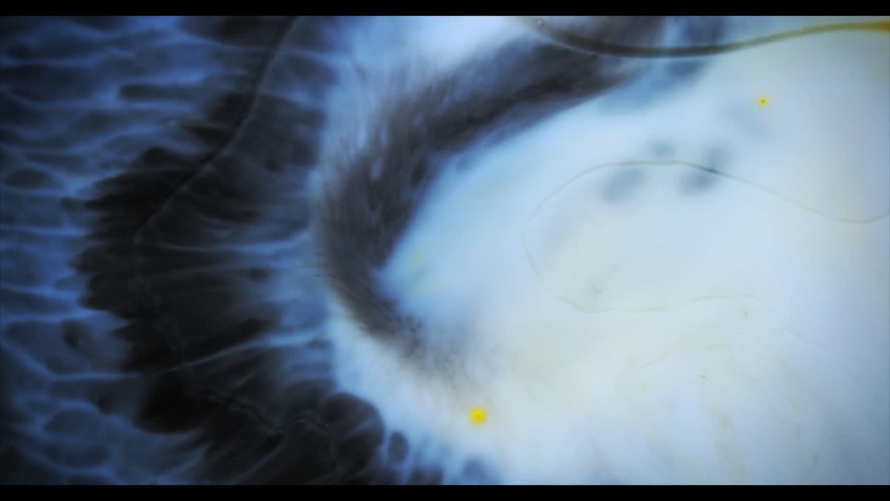Ethereal Blue and White Ink Swirling in Abstract Liquid