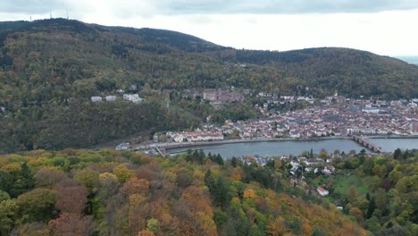 pull away drone shot of heidelberg, shot from above forest