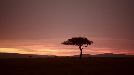 Wunderschöner-Landschaftssonnenuntergang-Vor-Einbruch-Der-Dunkelheit-Mit-Isoliertem-Akazienbaum-Am-Horizont.-Afrikanische-Natur-Im-Masai-Mara-Nationalreservat,-Kenia,-Afrika-Safarilandschaft-Im-Nordschutzgebiet-Der-Masai-Mara