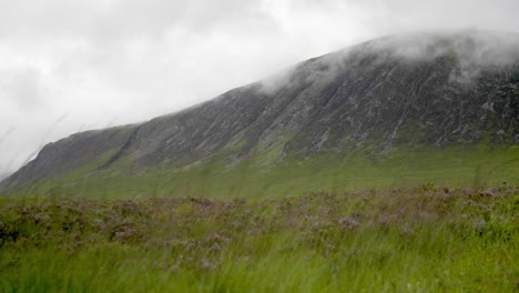low angle of moors in the highlands of scotland, slow motion