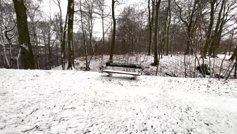 walking towards bench in park during snowy winter