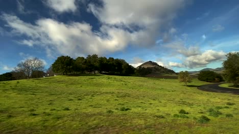 green sunny landscape with various trees, hills, road, and blue sky in motion