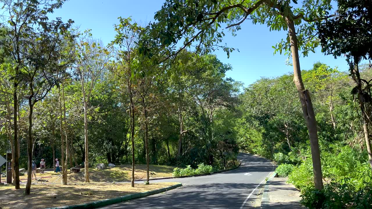 un camino pacífico rodeado de exuberante vegetación