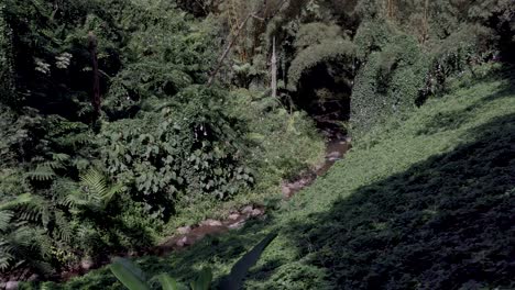water flowing through a stream with lush green surroundings