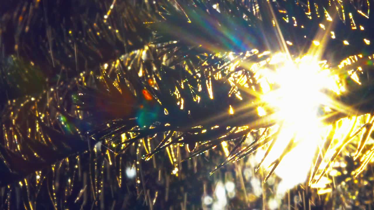 브라질 아마존 열대우림에서 일출 때 열대 비가 내리는 동안 야자수 잎 사이로 빛나는 태양 광선