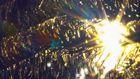 rayos de sol brillando a través de las hojas de una palmera durante una lluvia tropical al amanecer en la selva amazónica brasileña