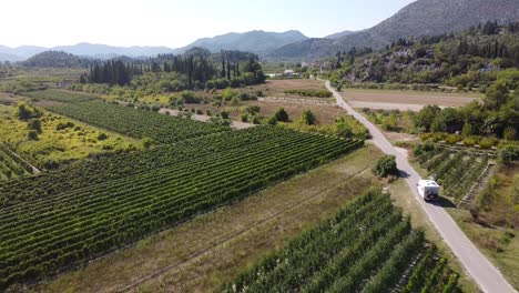 motorhome driving through wine vineyard in croatia - aerial