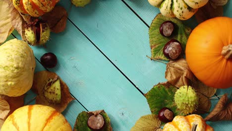 vegetables and leaves laid in circle