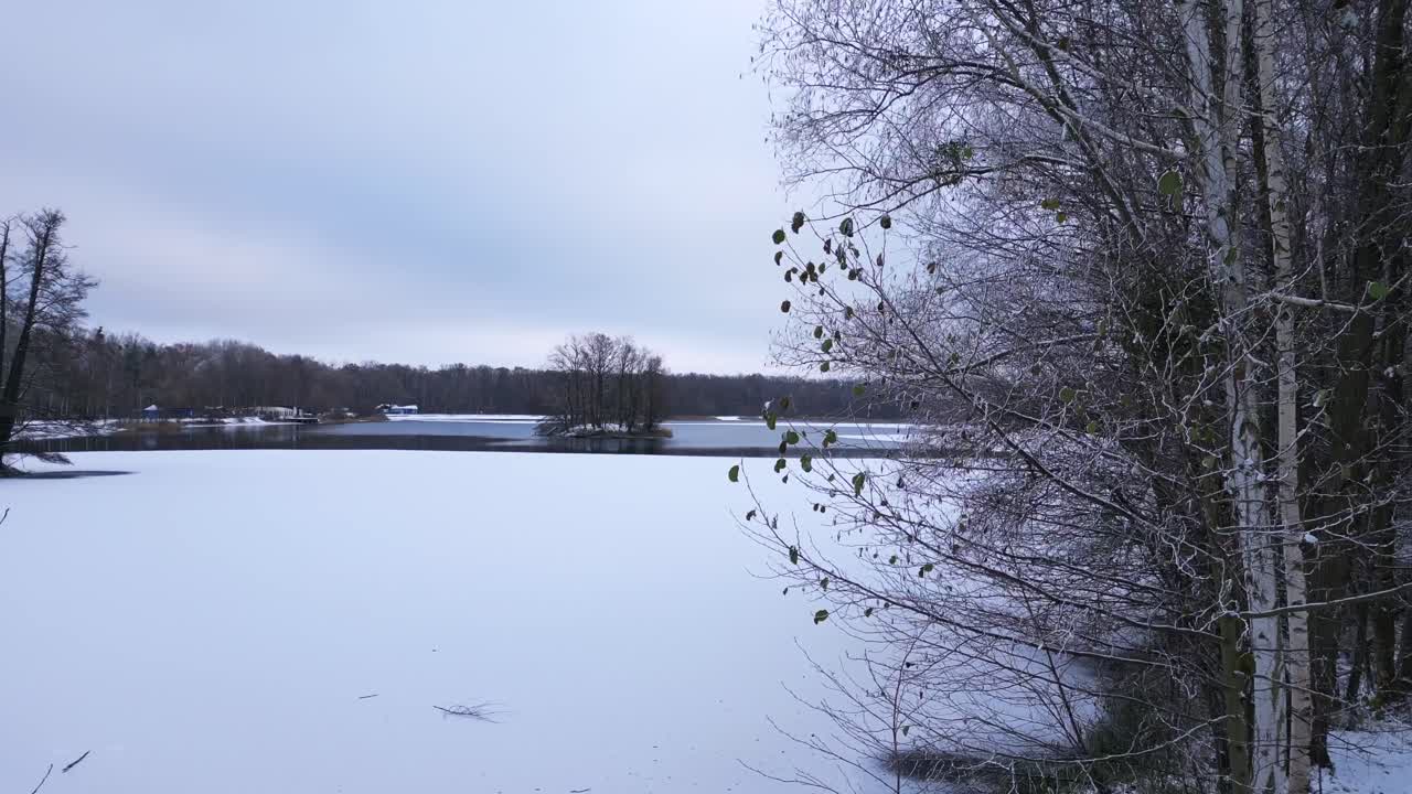 겨울 눈 얼음 호수 나무 숲 구름이 많은 하늘 독일