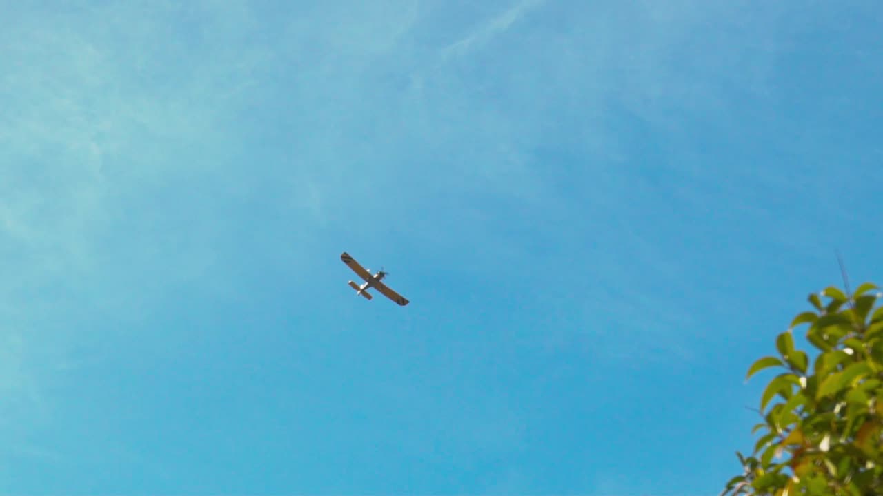 imágenes en cámara lenta del avión de entrenamiento de un solo motor, volando bajo sobre los árboles, cielo azul claro en el fondo