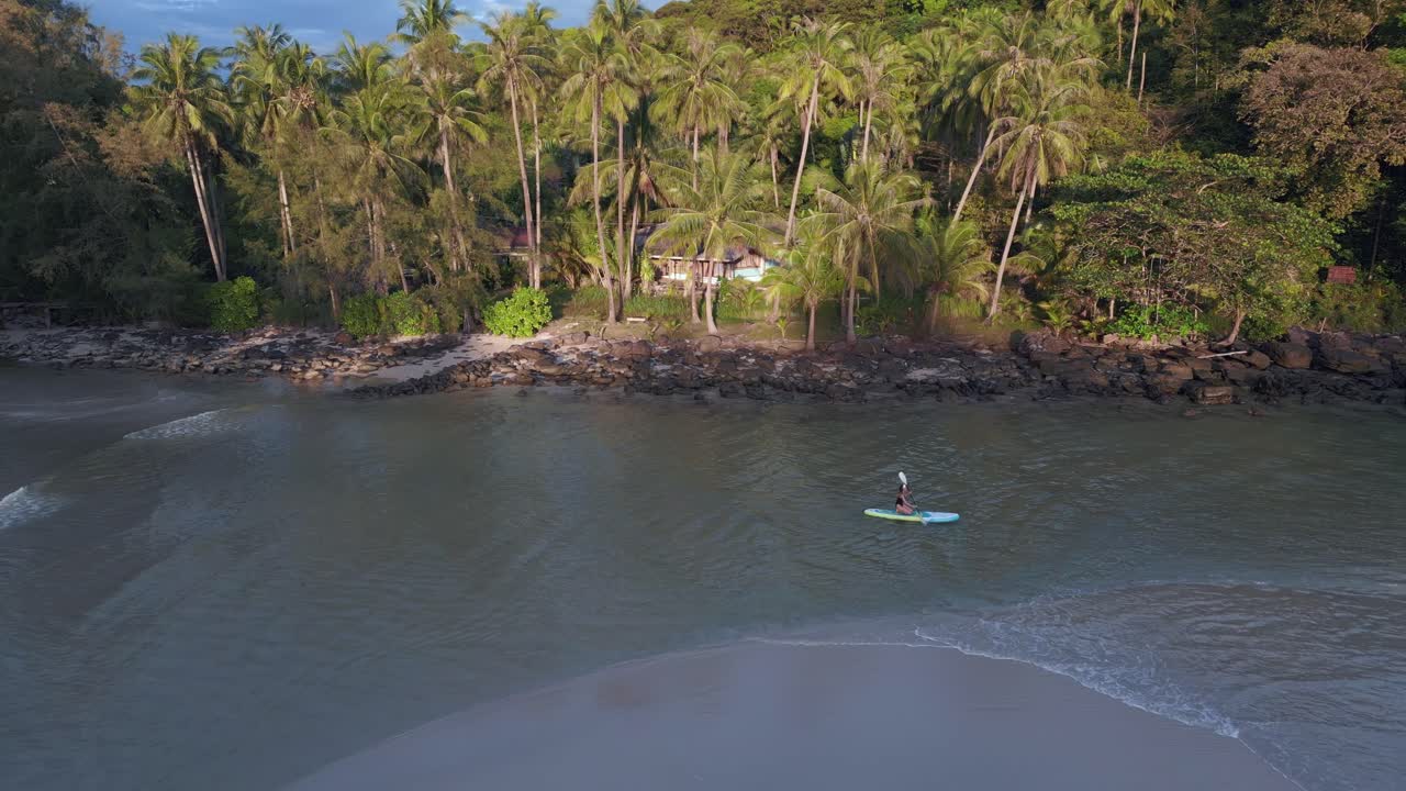 mujer de surfboard remos rayos de sol en las palmeras