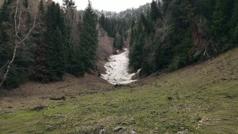 landscape with river and mountains