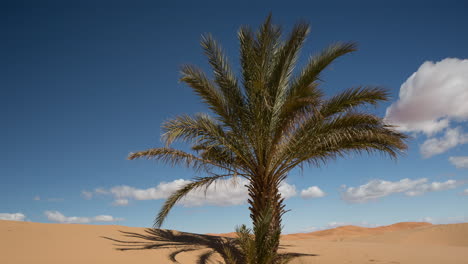 merzouga en el desierto del sáhara en marruecos