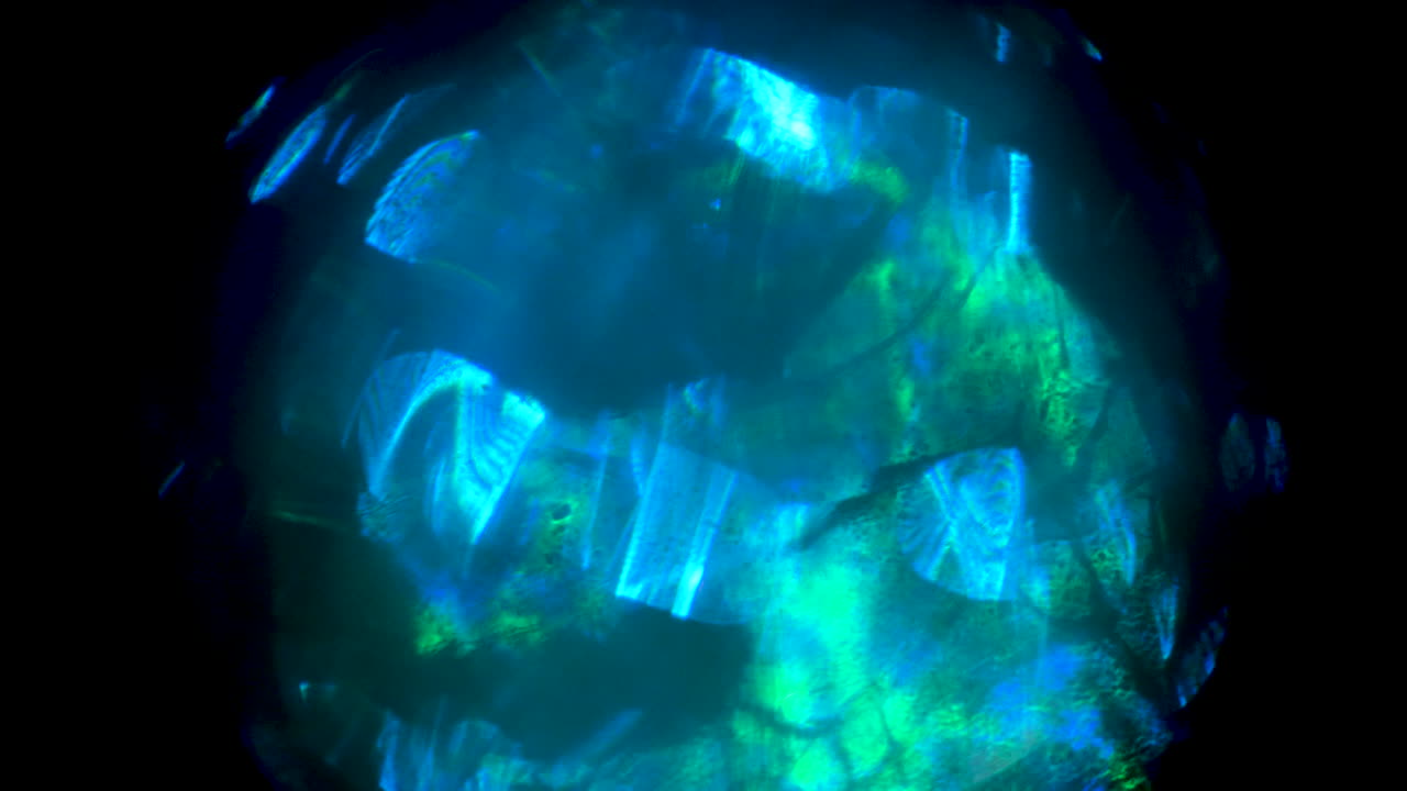 Abstract Red and White Lights