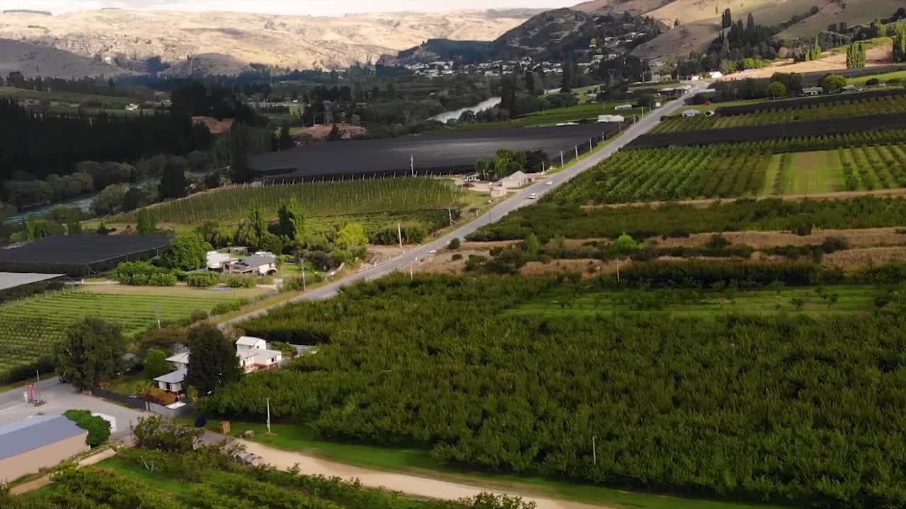 Aerial over green fruit plantations in valley of New Zealand, famous fruitlands
