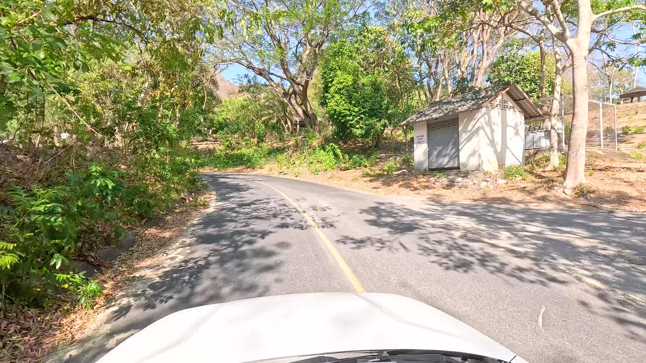 울창 한 숲 을 가로지르는 자동차 여행