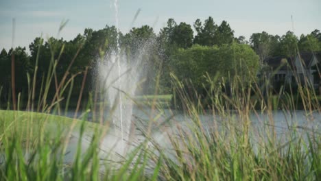 neighborhood fountain on lake through tall grass on a summer day